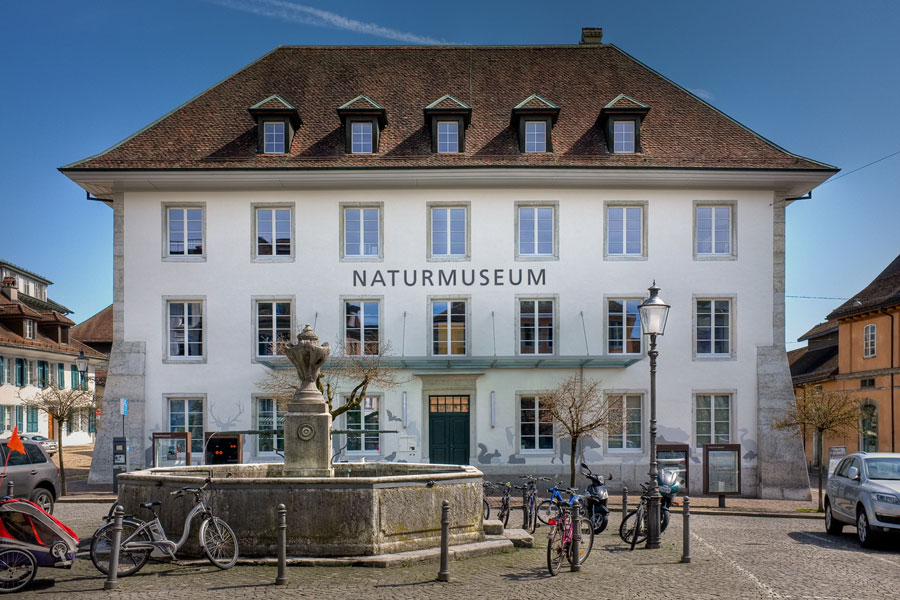 Naturmuseum Solothurn